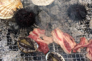 せたなロングライド